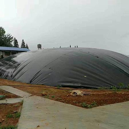 沼气池化粪池专用土工膜